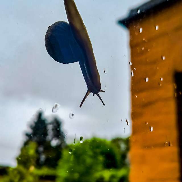 Weather forecasts with beautiful photos by agOost