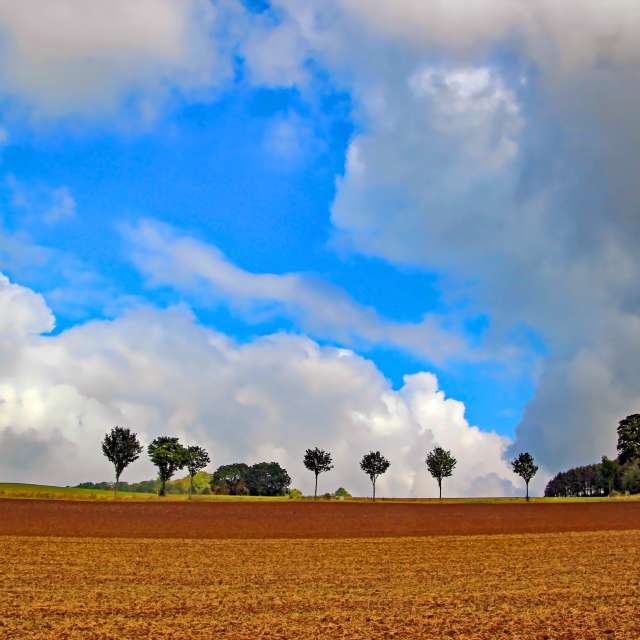 Airplane. Weather forecasts with beautiful photos by Lotti5507 Photos in Stockum