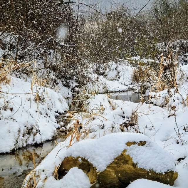 Pronósticos del tiempo con hermosas fotos de Birdy25