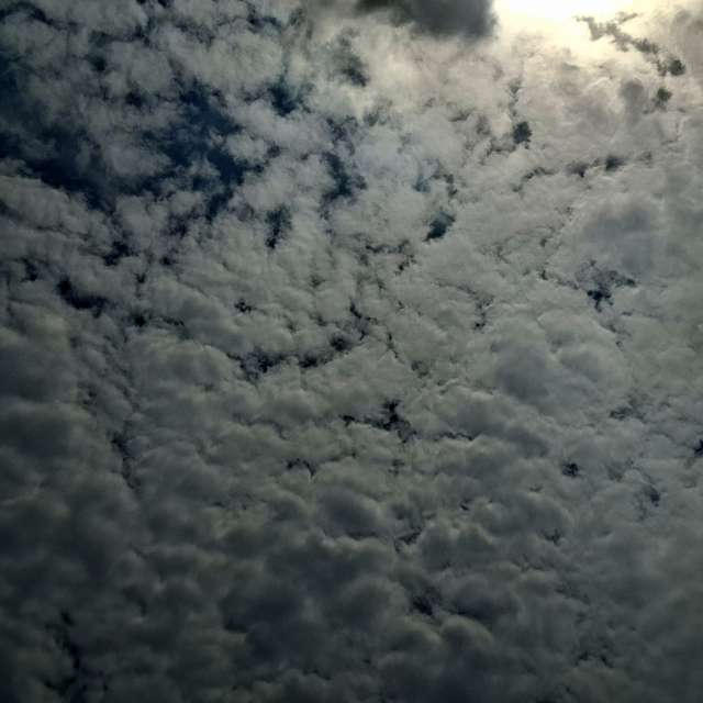 Room. Weather forecasts with beautiful photos by Wen-ya Huang Photos in Kaohsiung City