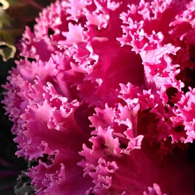 Weather forecasts with beautiful photos by umemui