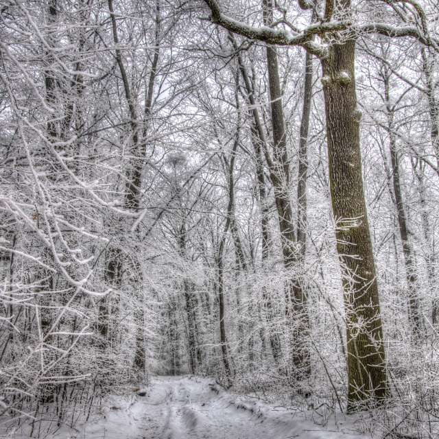 Pronósticos del tiempo con hermosas fotos de Paul57