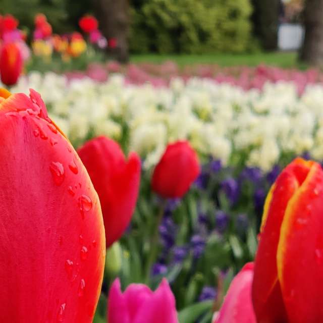 Prévisions météo avec de superbes photos de gkadam