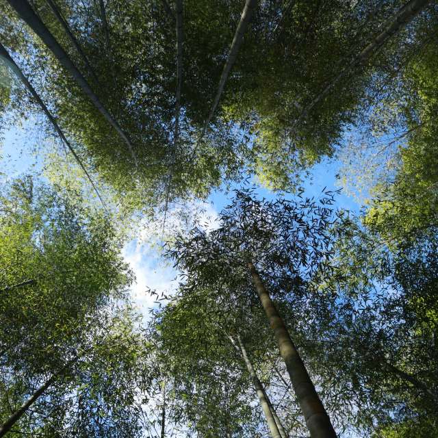 Weather forecasts with beautiful photos by xhhx