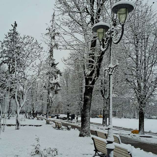Bench. Weather forecasts with beautiful photos by urashm Photos in Khmelnytskyi