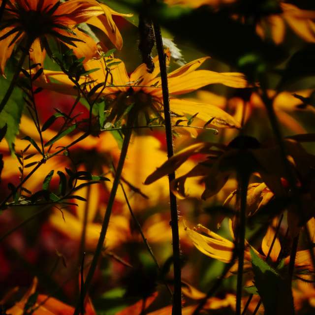 Lit. Weather forecasts with beautiful photos by Михаил Гавриков Photos in Kharkiv