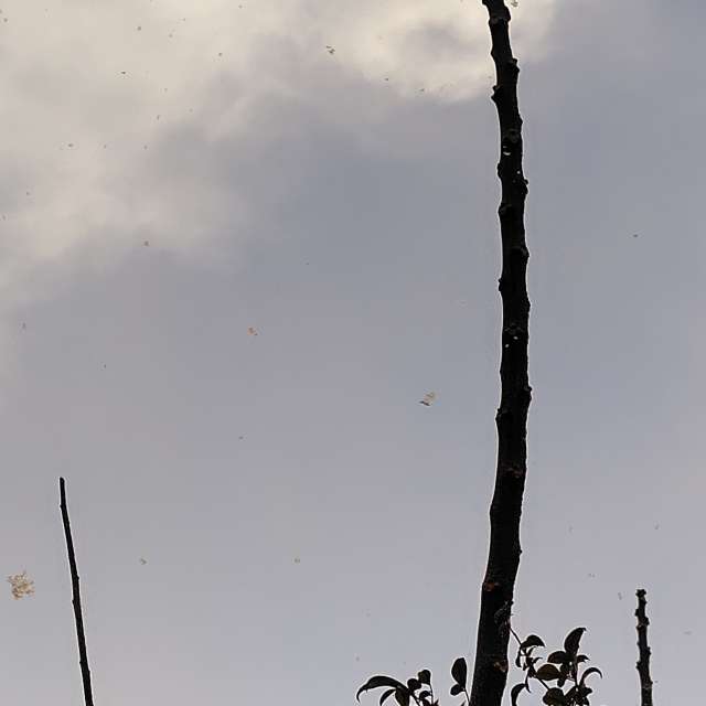 Weather forecasts with beautiful photos by umemui