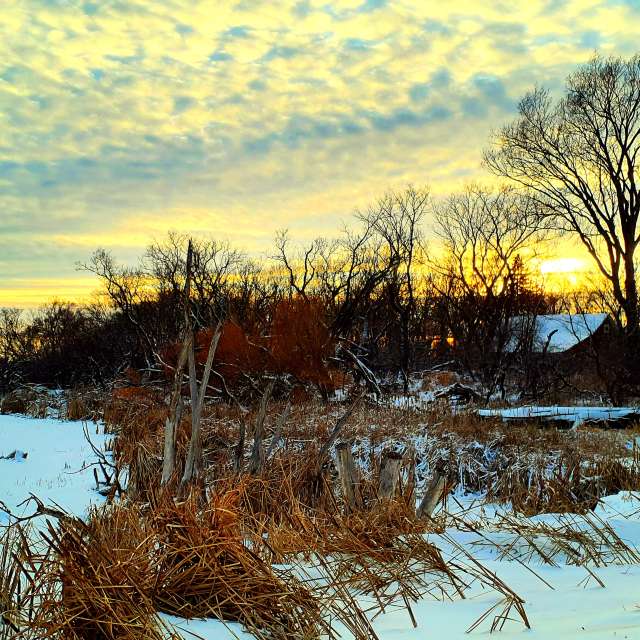 Jd2024の美しい写真による天気予報