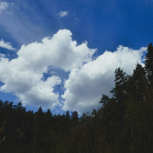 Wolkig. Wettervorhersagen mit schönen Fotos von AlmaGenute53 Fotos Litauen