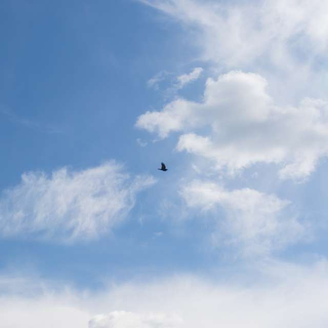 Weather forecasts with beautiful photos by Amiras