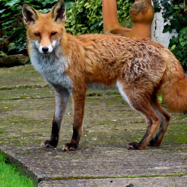 Photos Devant. Prévisions météo avec de superbes photos de Lolli de Maidstone