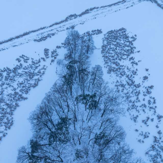 Previsões do tempo com lindas fotos de ooee