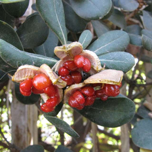 Eating. Weather forecasts with beautiful photos by Sviatoslav Photos in World
