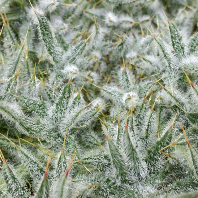 Eating. Weather forecasts with beautiful photos by hejpetrpepa Photos in Plzeň Region