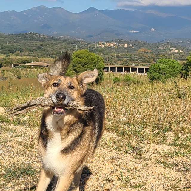 Weather forecasts with beautiful photos by Kren66