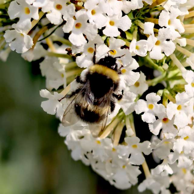 Previsões do tempo com lindas fotos de Igor-65