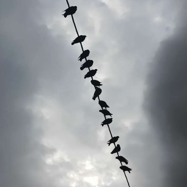 Fotos del Vapor. Pronósticos del tiempo con hermosas fotos de YanBog en București