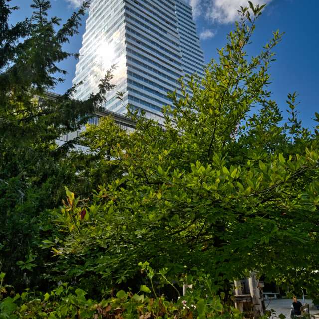 Прогнозы погоды с чудесными фотографиями, сделанными Jens