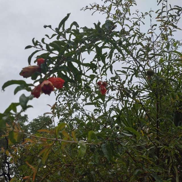 Photos Vol. Prévisions météo avec de superbes photos de Wen-ya Huang de Kaohsiung