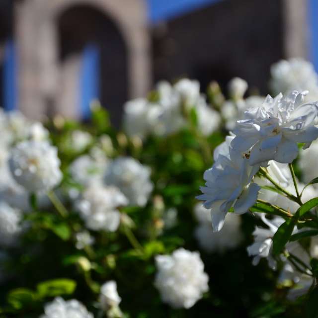 Fotos sobre el clima en Mundo. Pronósticos del tiempo con hermosas fotos de Andrey72