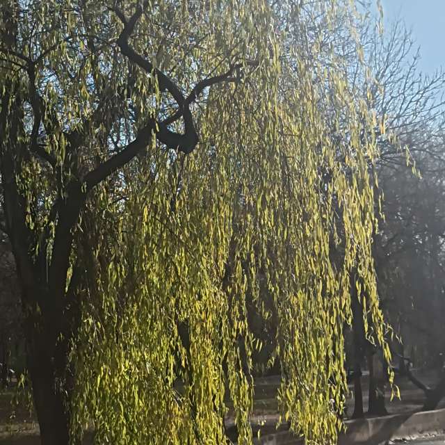 Fotos del Lado. Pronósticos del tiempo con hermosas fotos de YanBog en București