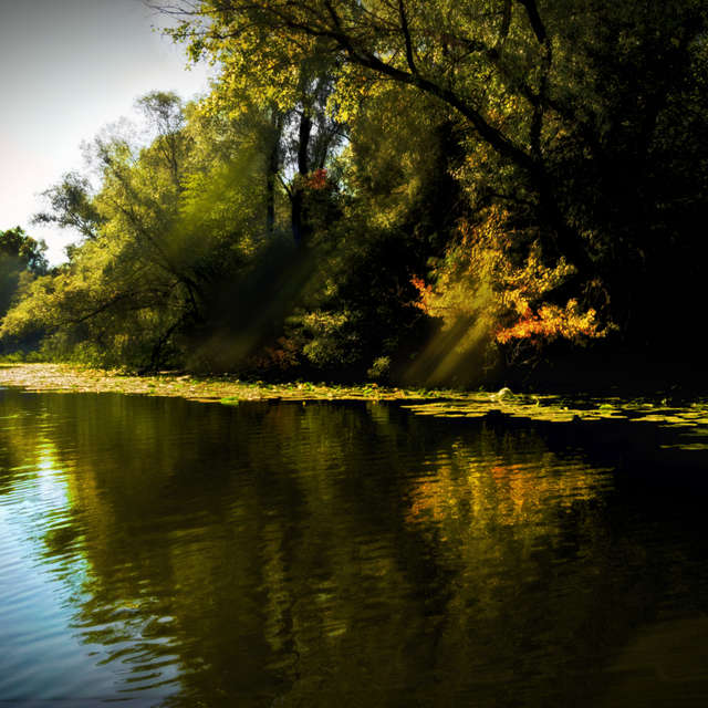 Fotos del Otoño. Pronósticos del tiempo con hermosas fotos de Юрий Бышев en Zaporiyia