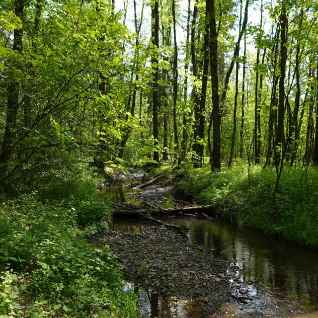 Fotos Arborizado. Previsões do tempo com lindas fotos de Vasek325 em Praha 12