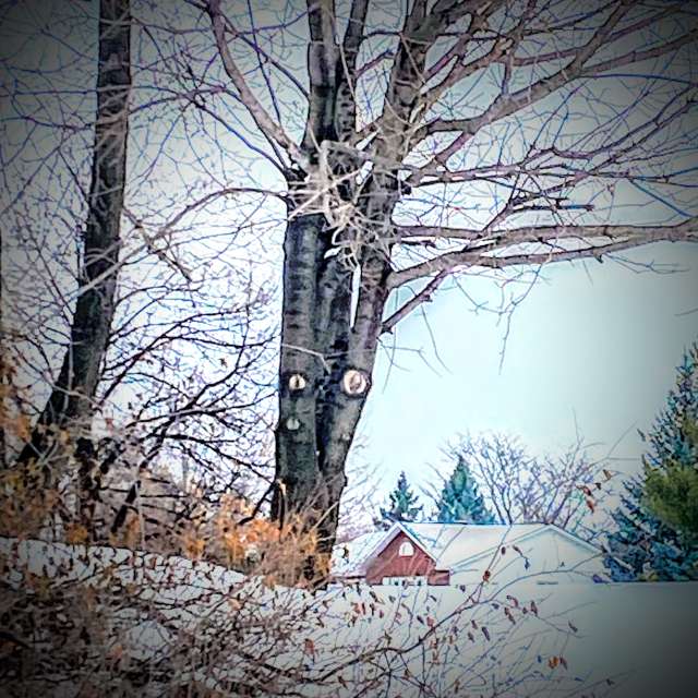 Jumping. Weather forecasts with beautiful photos by Lulu5523 Photos in le Plateau