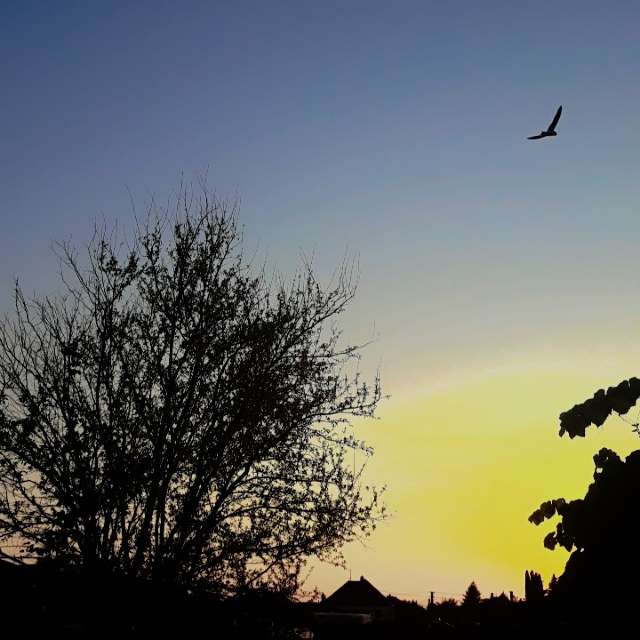 Wettervorhersagen mit schönen Fotos von Balint