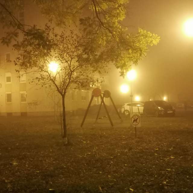 Weiden. Wettervorhersagen mit schönen Fotos von AttilaSzilvássy Fotos Budapest