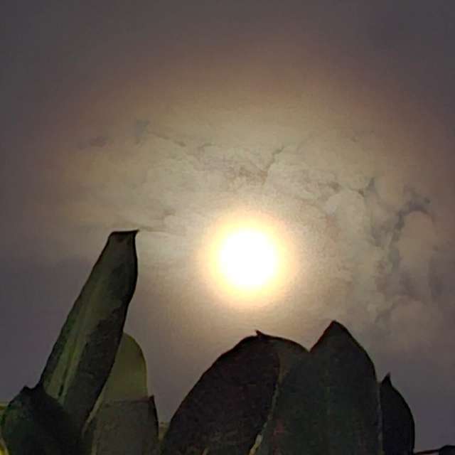 Sunset. Weather forecasts with beautiful photos by Wen-ya Huang Photos in Kaohsiung City