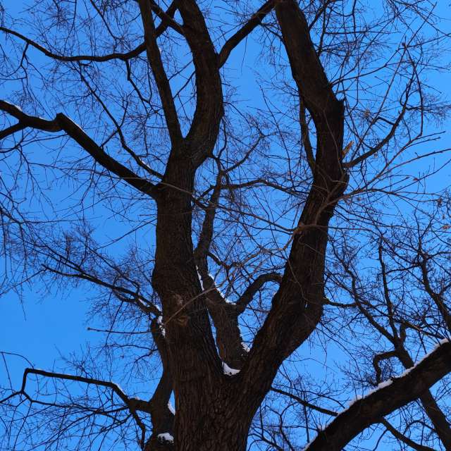 天气预报，带Gaucho精美的照片