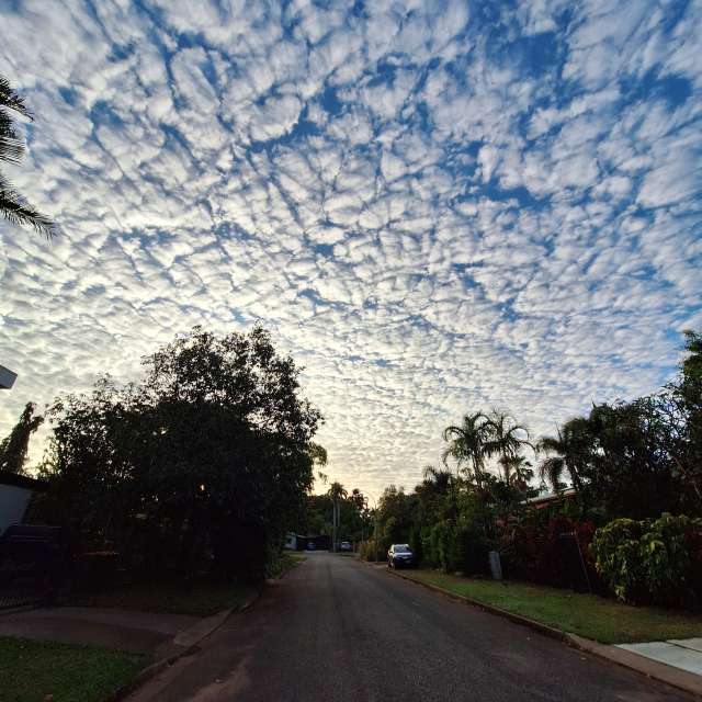 Weather forecasts with beautiful photos by bats