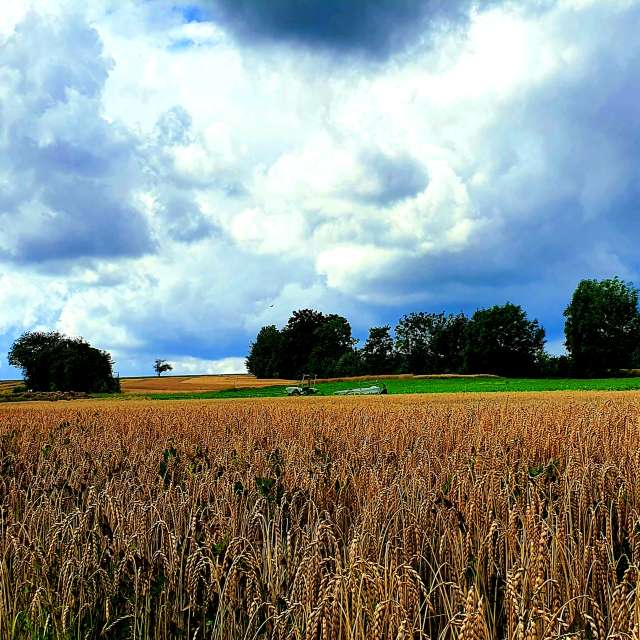 Weather forecasts with beautiful photos by Der-Bueffel