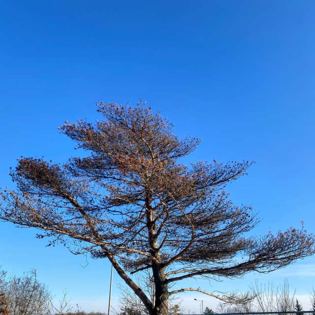 Прогнозы погоды с чудесными фотографиями, сделанными Lulu5523