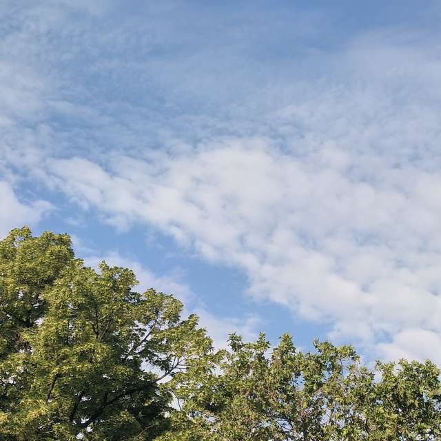 Fotos del Parque. Pronósticos del tiempo con hermosas fotos de YanBog en Bucharest