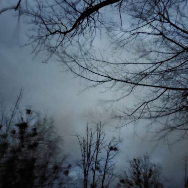 Gray. Weather forecasts with beautiful photos by Iryna Photos in Kharkiv