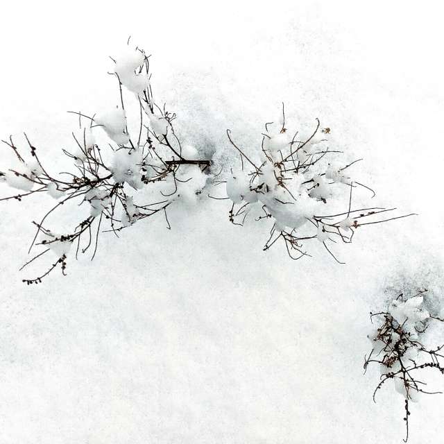 天气预报，带aastrelkova精美的照片