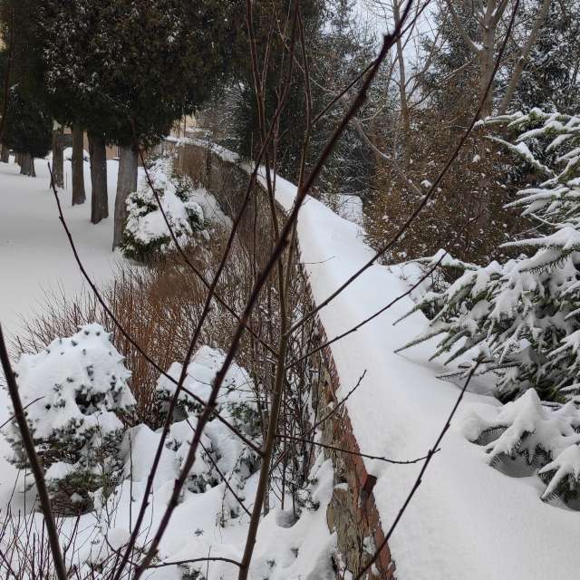 Kreuzen. Wettervorhersagen mit schönen Fotos von Kripo Fotos Ladek Zdroj
