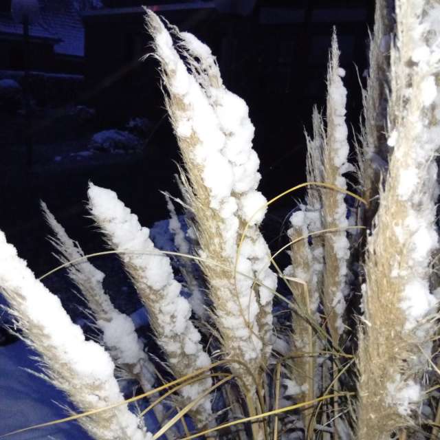 Pronósticos del tiempo con hermosas fotos de Kiki248