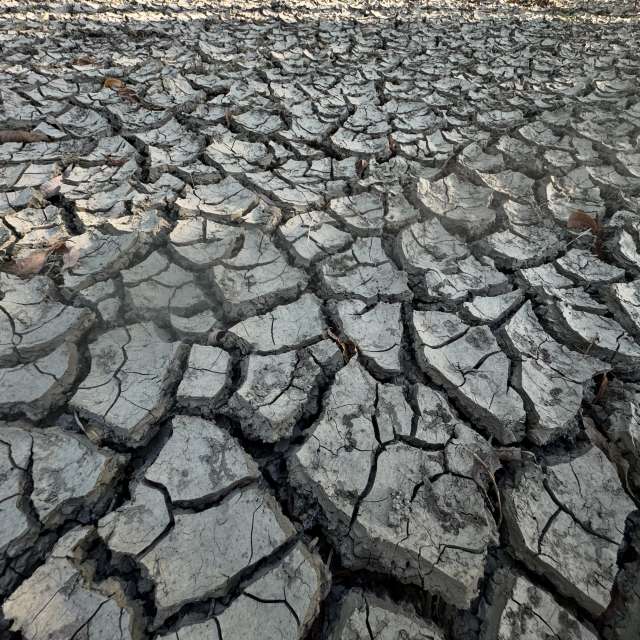 Prévisions météo avec de superbes photos de Sonia