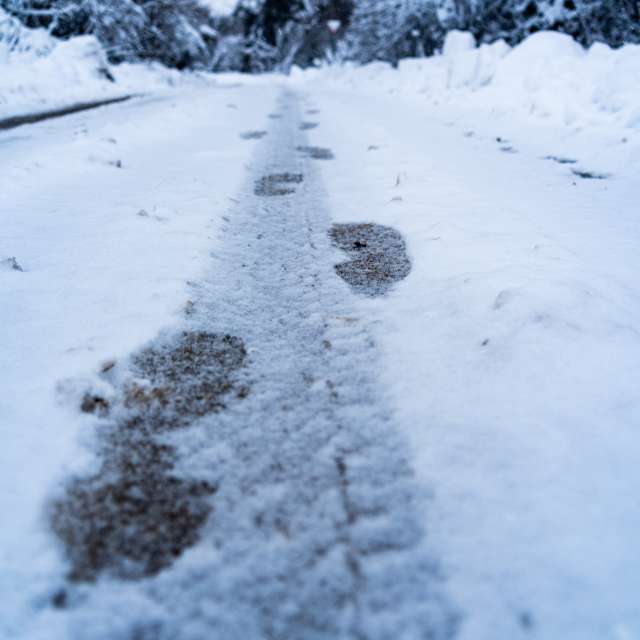 天气预报，带niki81vd精美的照片