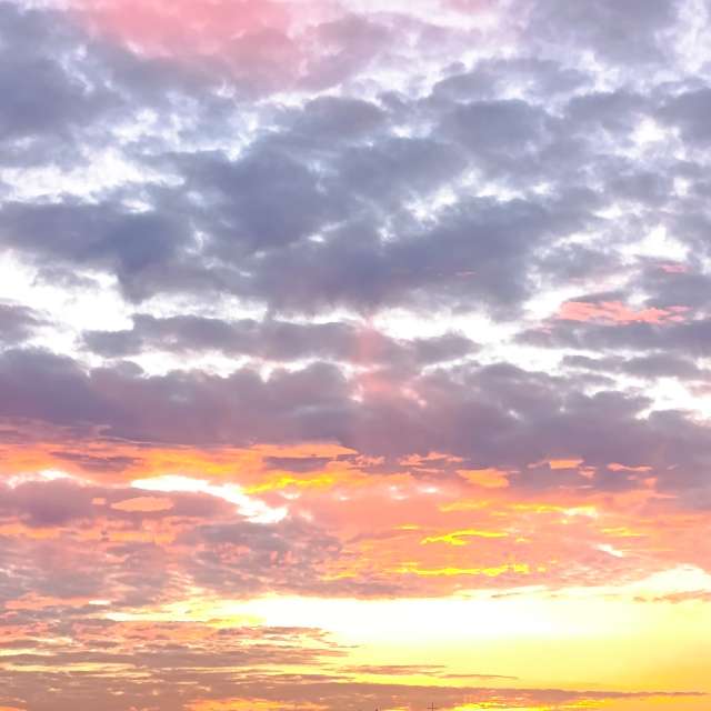 Lena_Glukhovaの美しい写真による天気予報