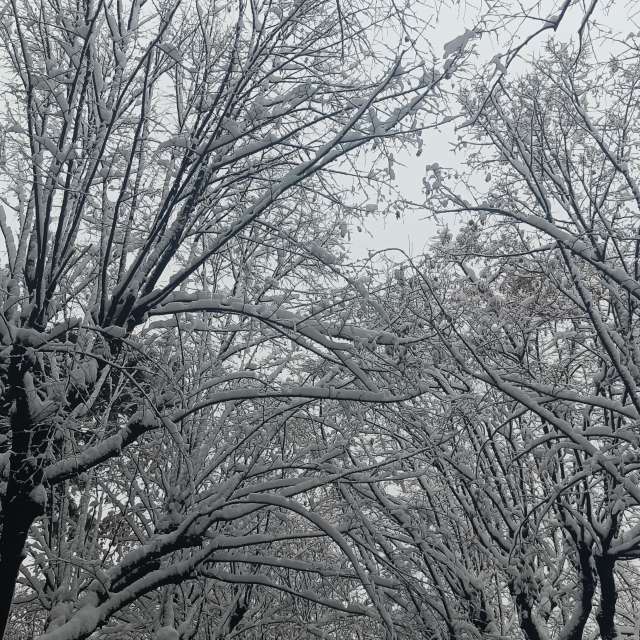 Fotos del Pasto. Pronósticos del tiempo con hermosas fotos de YanBog en București