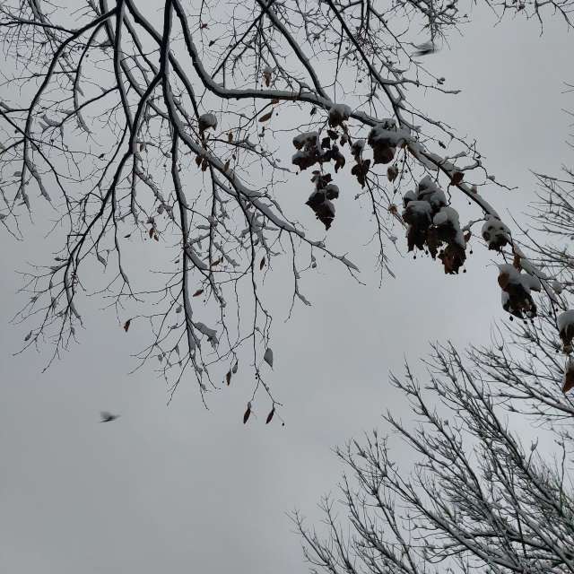 Height. Weather forecasts with beautiful photos by Iryna Photos in Kharkiv