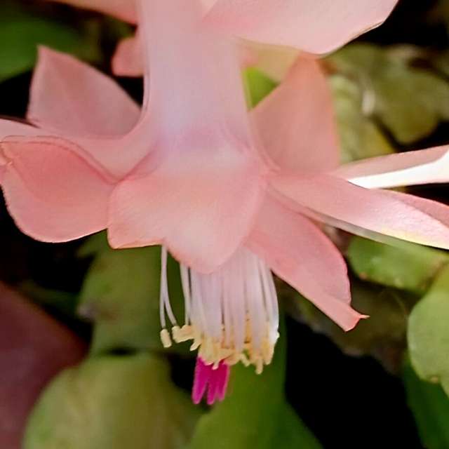 Teriの美しい写真による天気予報