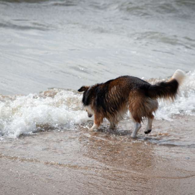 Prévisions météo avec de superbes photos de Florabresler