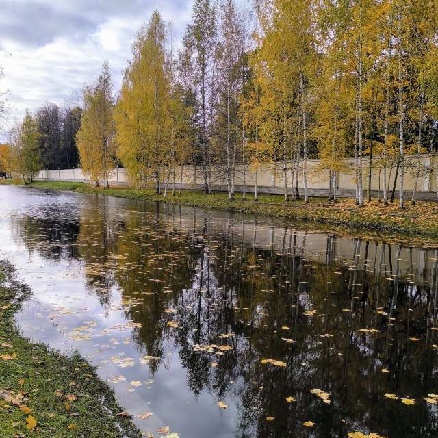 Jeaの美しい写真による天気予報