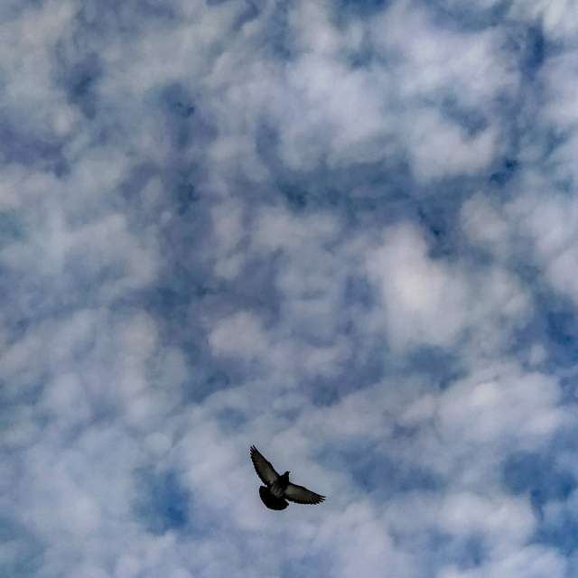 Fotos Fundo. Previsões do tempo com lindas fotos de Lyu em Almaty