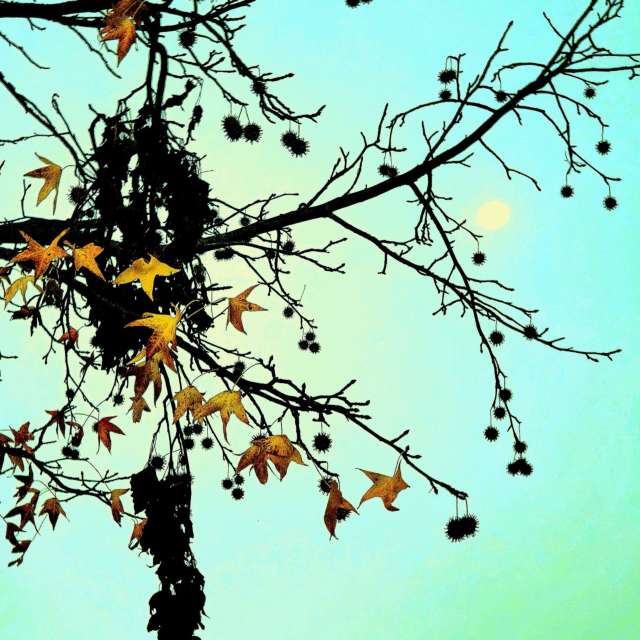 Previsões do tempo com lindas fotos de jJaycox